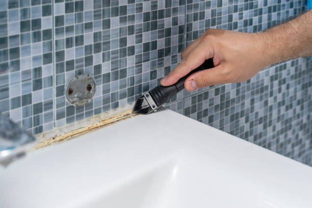 Best Commercial Mold Removal  in Egon City, OR