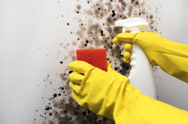 Water Damage Restoration in Oregon City, OR